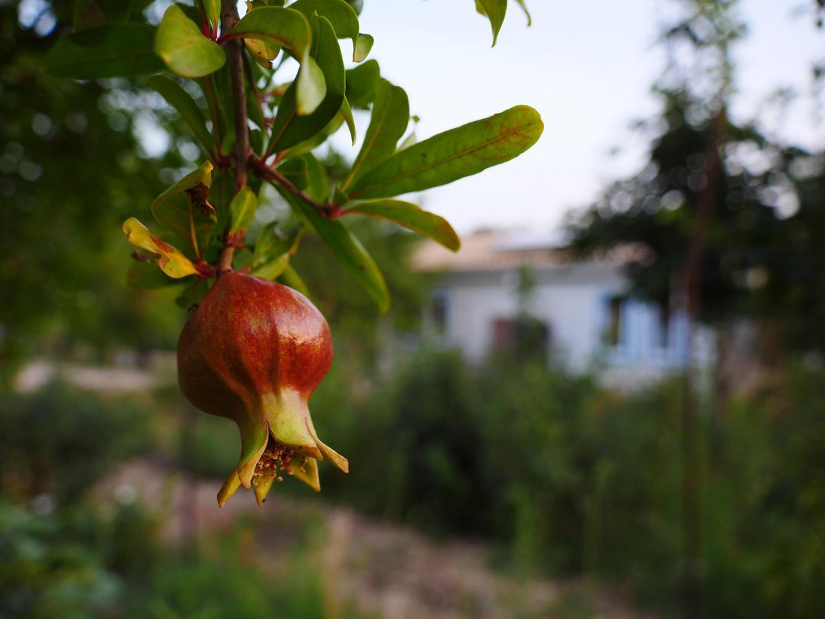 Camping Fiori Di נוטו מראה חיצוני תמונה