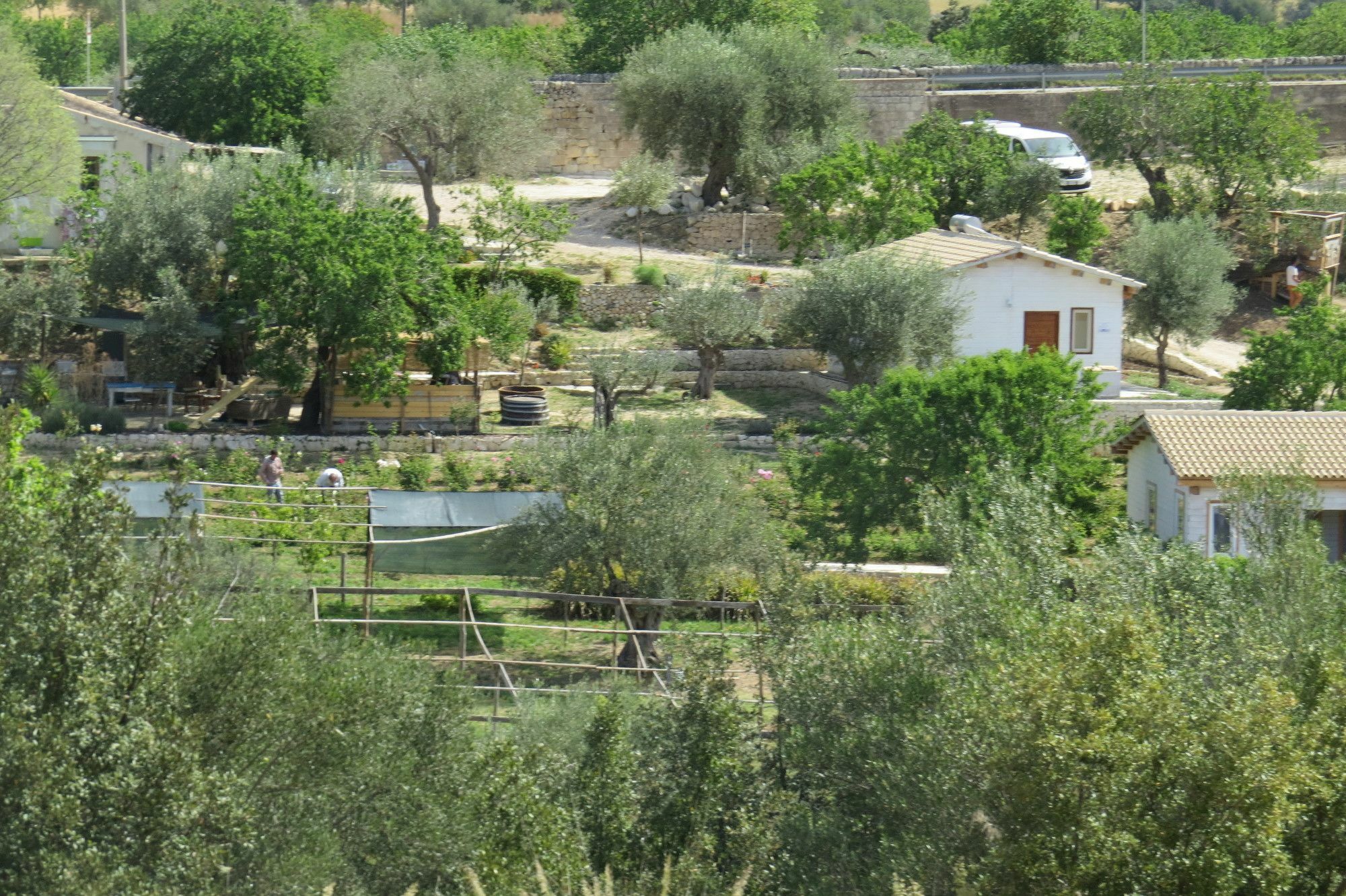 Camping Fiori Di נוטו מראה חיצוני תמונה