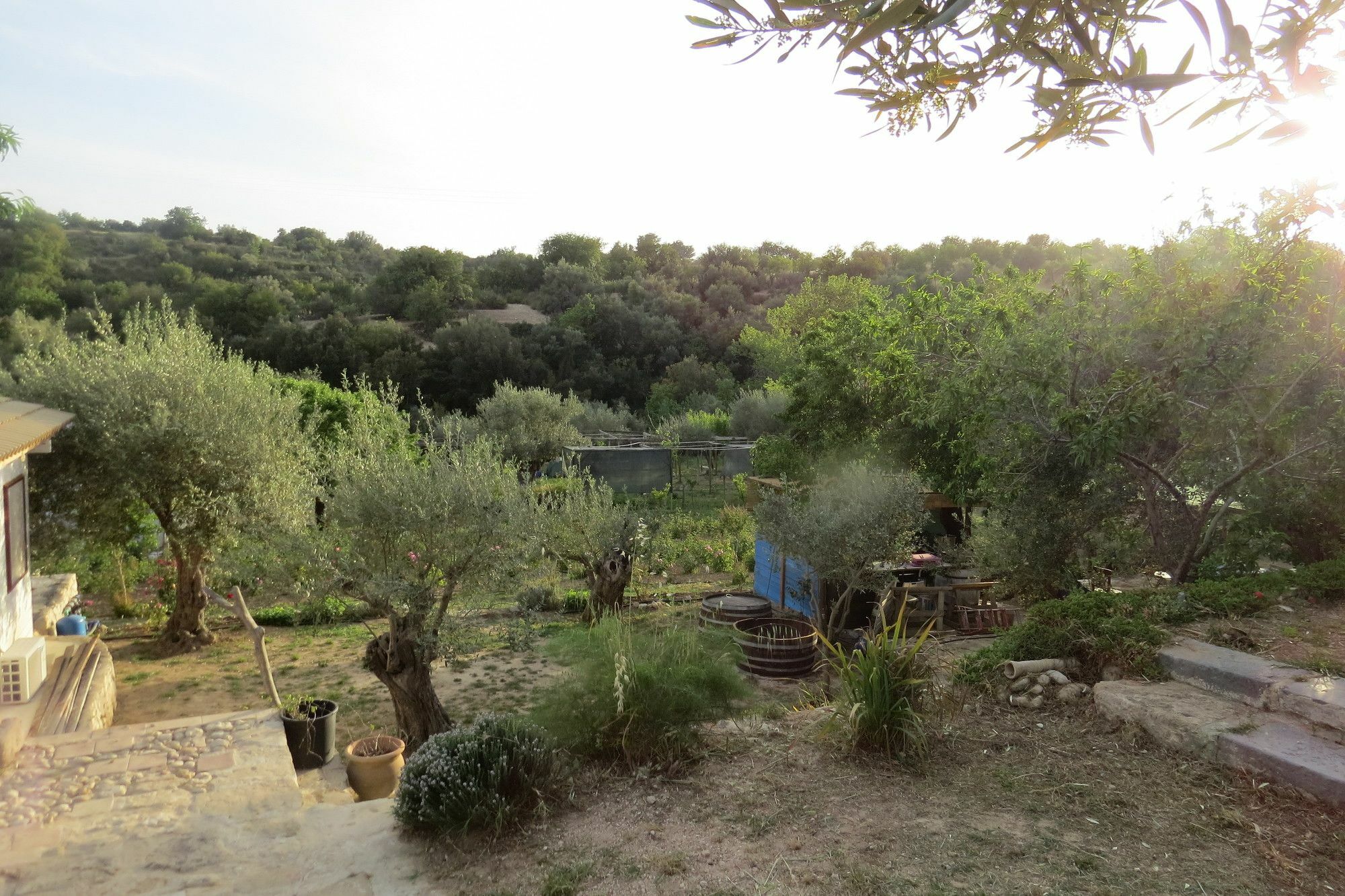 Camping Fiori Di נוטו מראה חיצוני תמונה