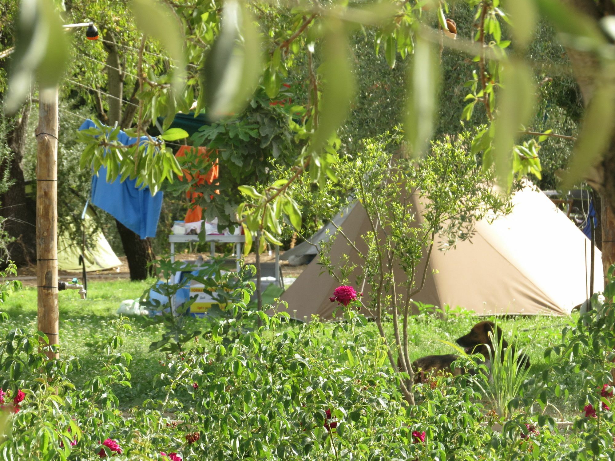 Camping Fiori Di נוטו מראה חיצוני תמונה
