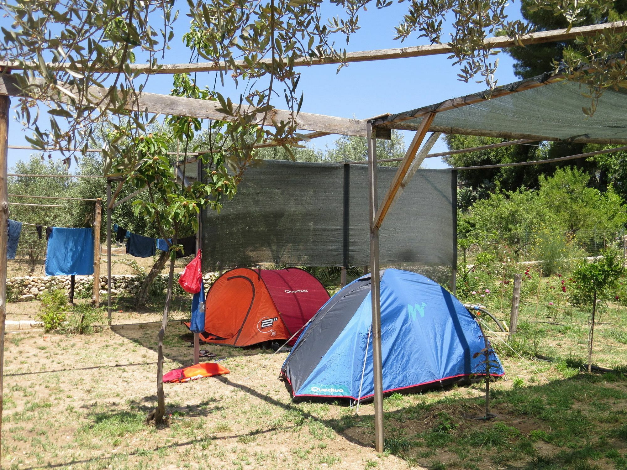 Camping Fiori Di נוטו מראה חיצוני תמונה