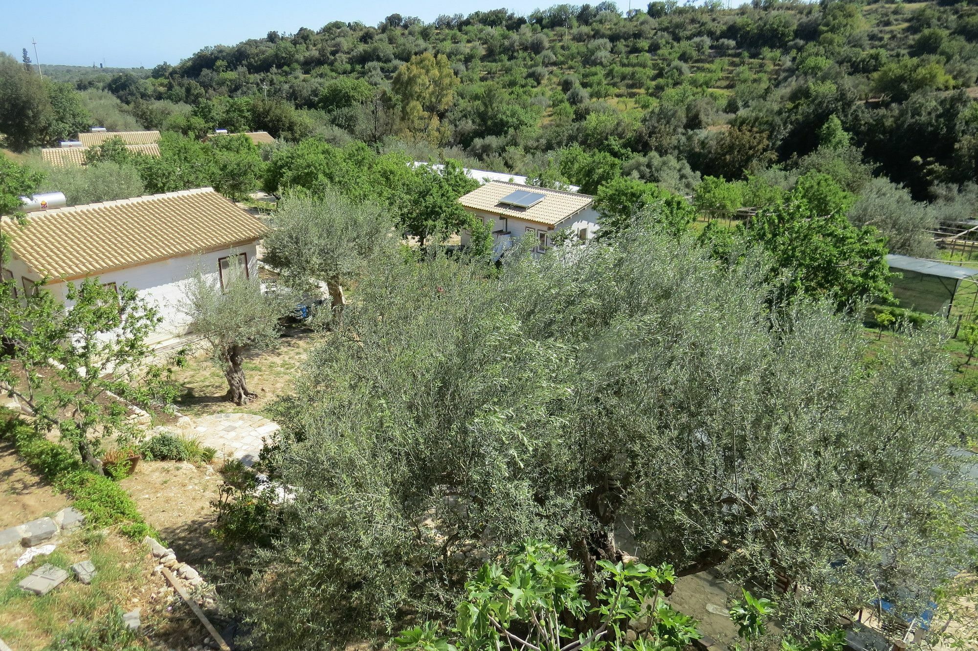 Camping Fiori Di נוטו מראה חיצוני תמונה