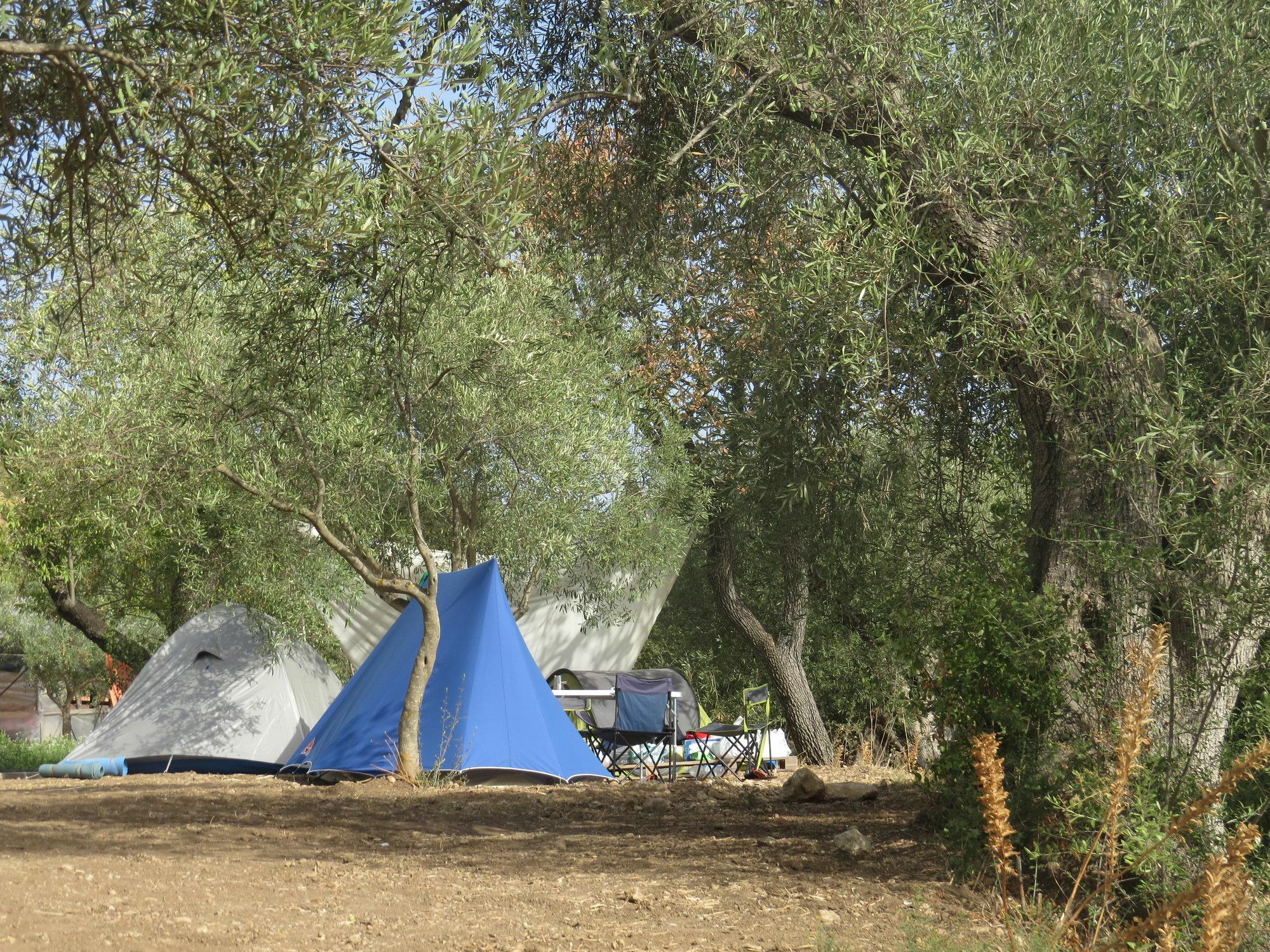 Camping Fiori Di נוטו מראה חיצוני תמונה